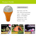 High lumen CE home solar lighting system with led lamps